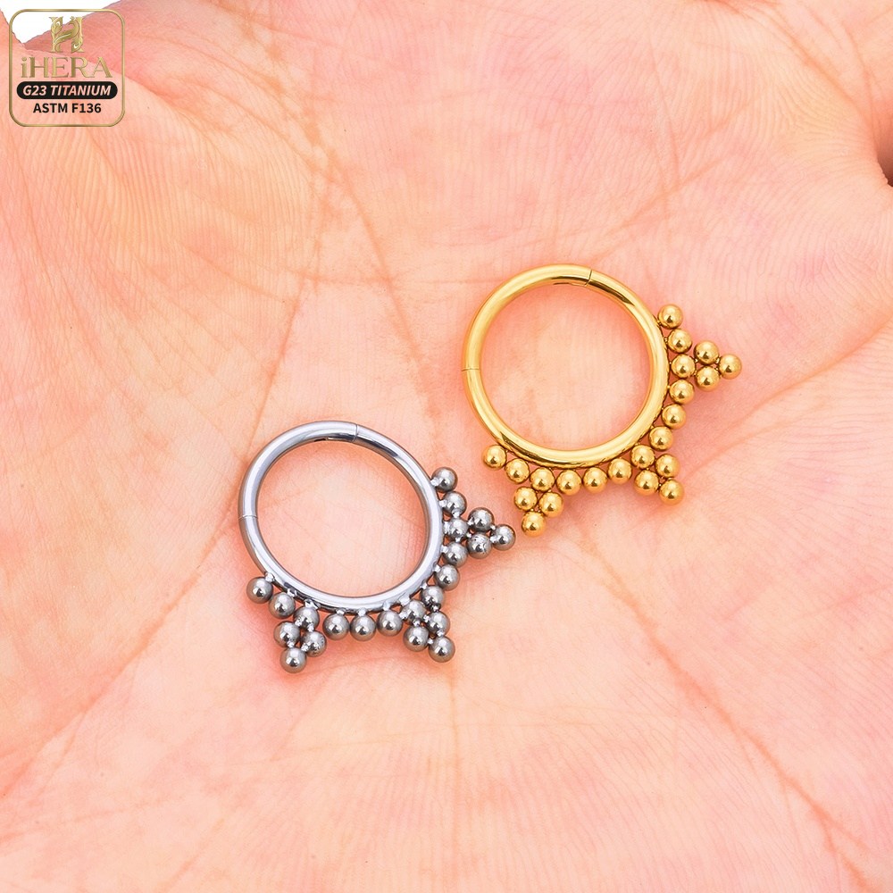 ASTM F136規格チタン製高級CZ象嵌ヒンジセグメントリ - Septum Clicker Ring のレビューと価格