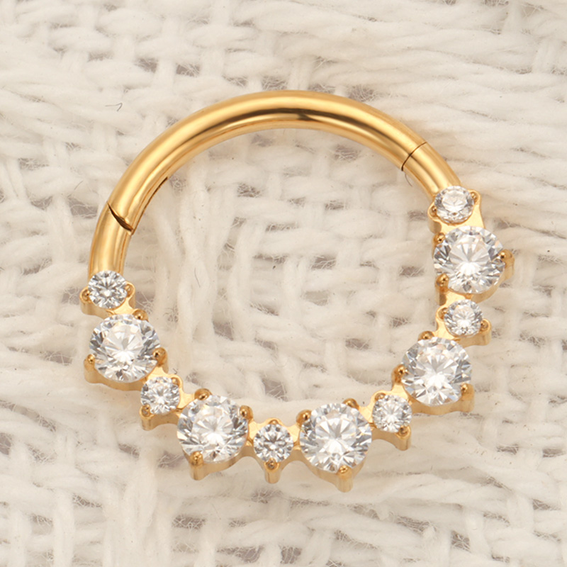 ASTM F136規格チタン製デイスクリックナーズリングピア - Septum Clicker Ring のレビューと価格