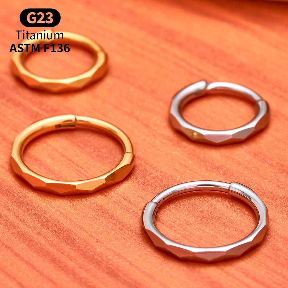 G23チタン製ファセットカットCZヒンジセグメントリングクリ - Septum Clicker Ring のレビューと価格