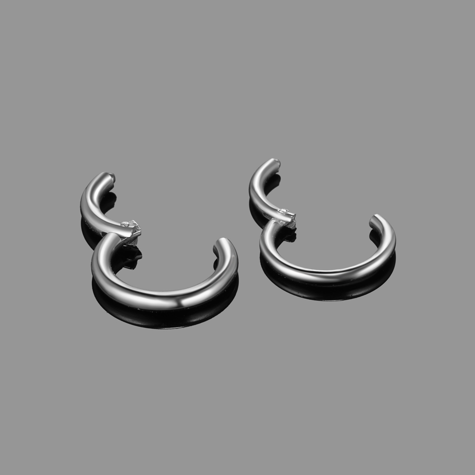 10 個ヒンジセグメント鼻リングステンレス鋼鼻フープセプタム - Septum Clicker Ring のレビューと価格