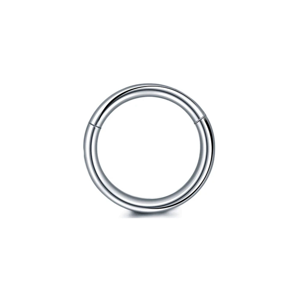 316L サージカルスチールクリッカーセグメントノーズリング - Septum Clicker Ring のレビューと価格