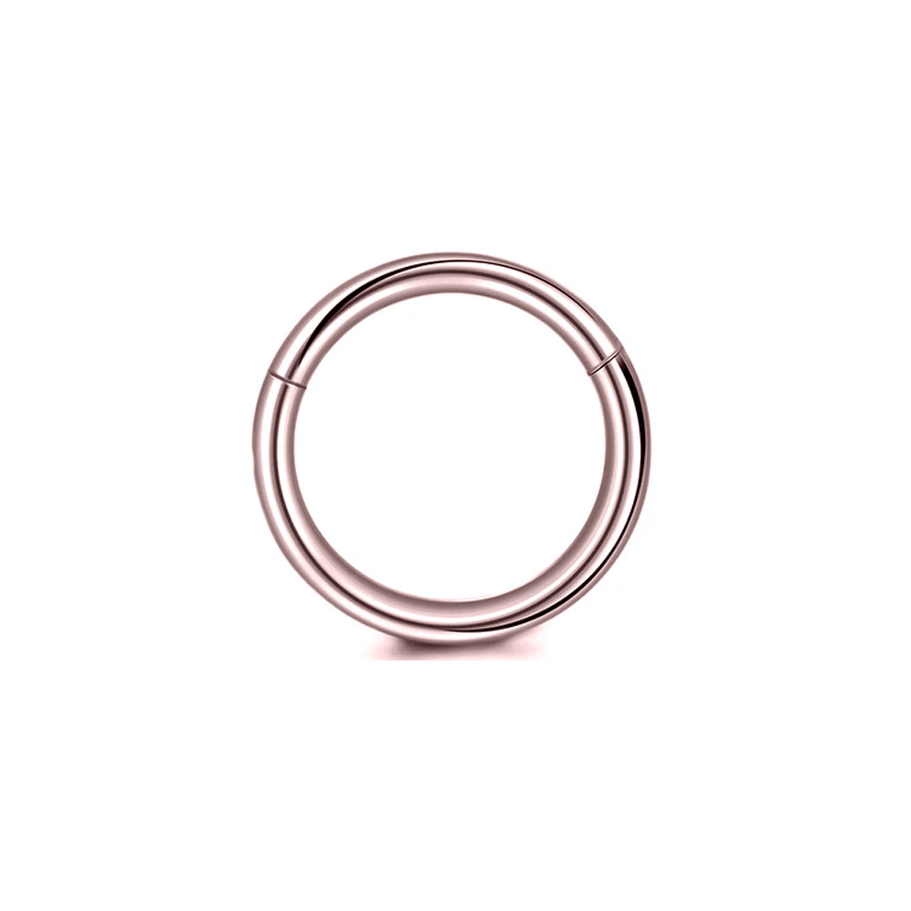316L サージカルスチールクリッカーセグメントノーズリング - Septum Clicker Ring のレビューと価格
