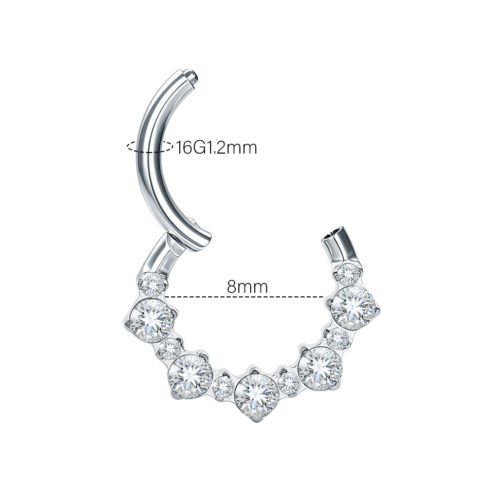 5個入り チタンジルコン製ノーズフープリング ヒンジ付きセグ - Septum Clicker Ring のレビューと価格
