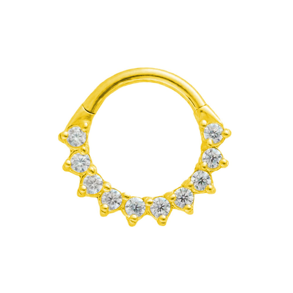 女性用セプタム付き台形ピアス,外科用鋼,鼻ピアス,クリッカー - Septum Clicker Ring のレビューと価格